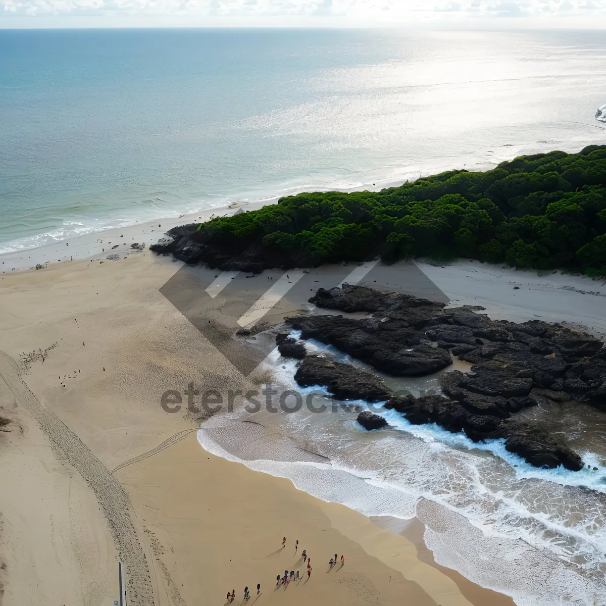 Picture of Tranquil Tropical Beachscape with Crystal Clear Waves