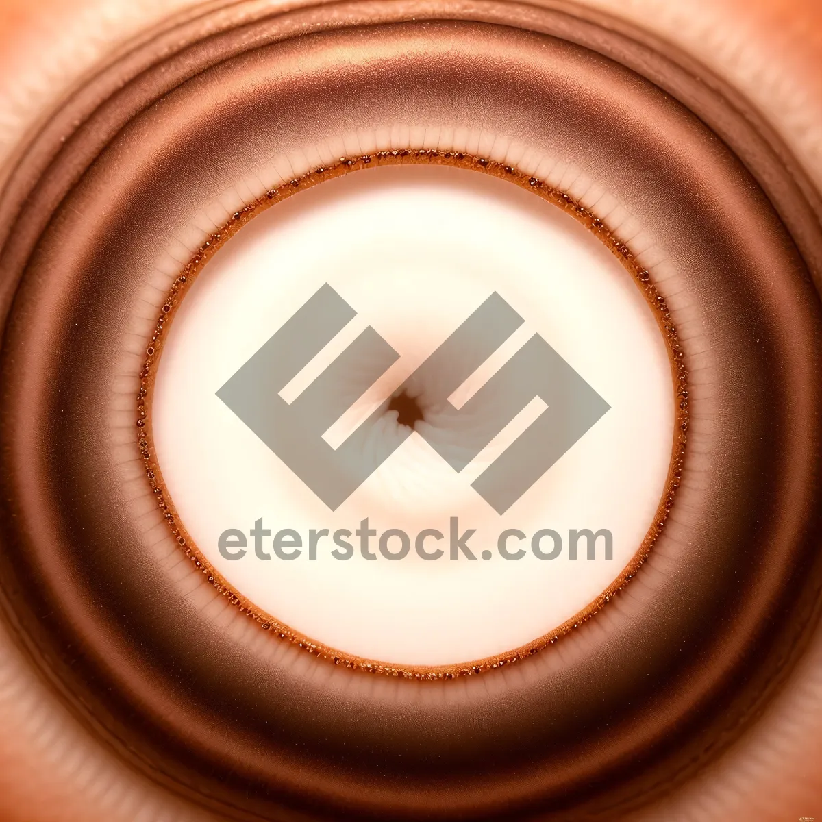 Picture of Chocolate Swirl Art: Smooth and Colorful Fractal Design