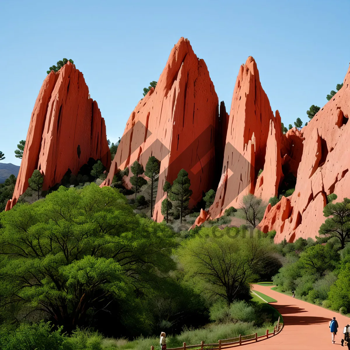 Picture of Scenic Canyon View with Towering Trees and Rocky Valley