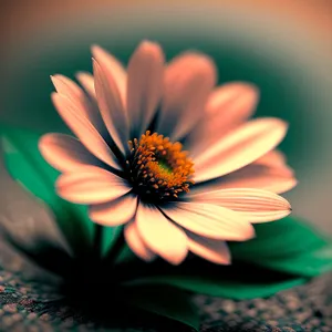 Bright Yellow Daisy Blossom in Garden