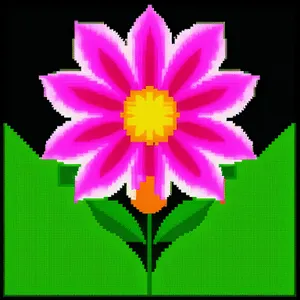 Pink Lotus Blossom in Full Bloom