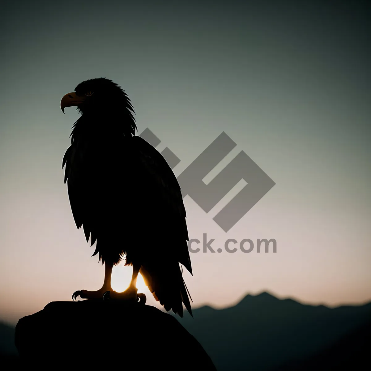 Picture of Captivating Majesty: Bold Bald Eagle in Flight