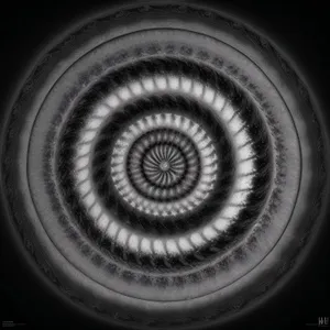 Dynamic Fractal Spiral: Artistic Chambered Nautilus Design