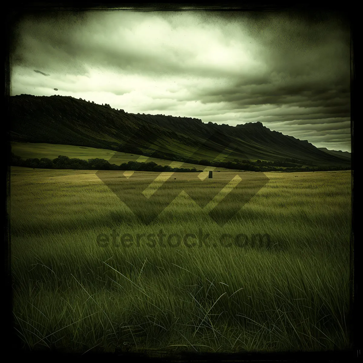 Picture of Sunset over the Rural Landscape