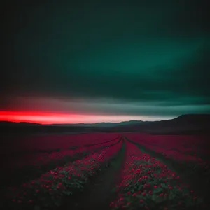 Golden Horizon: Majestic Sunset Over Rural Landscape