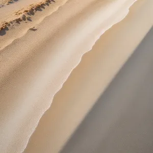 Dune-inspired Radiator Mechanism with Textured Shower Curtain