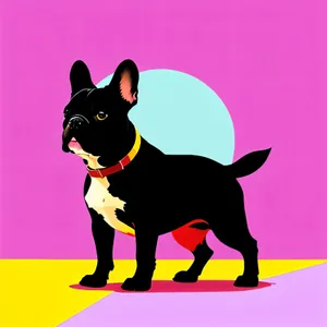 Playful Chihuahua Terrier: Adorable Canine Silhouette