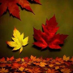 Vibrant Fall Maple Leaves Illustration