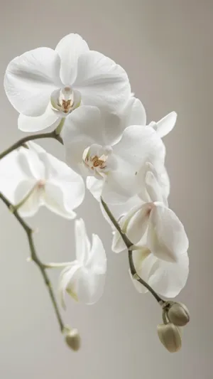 Pink blossom bouquet with white floral arrangements.