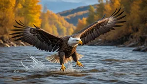 Bald eagle with sharp beak and piercing eyes